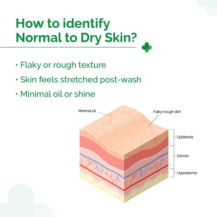 5% Nia-Ceramide Daily Hydrating Moisturizer with 5% Niacinamide & 2% Ceramide - 100g - Image 8